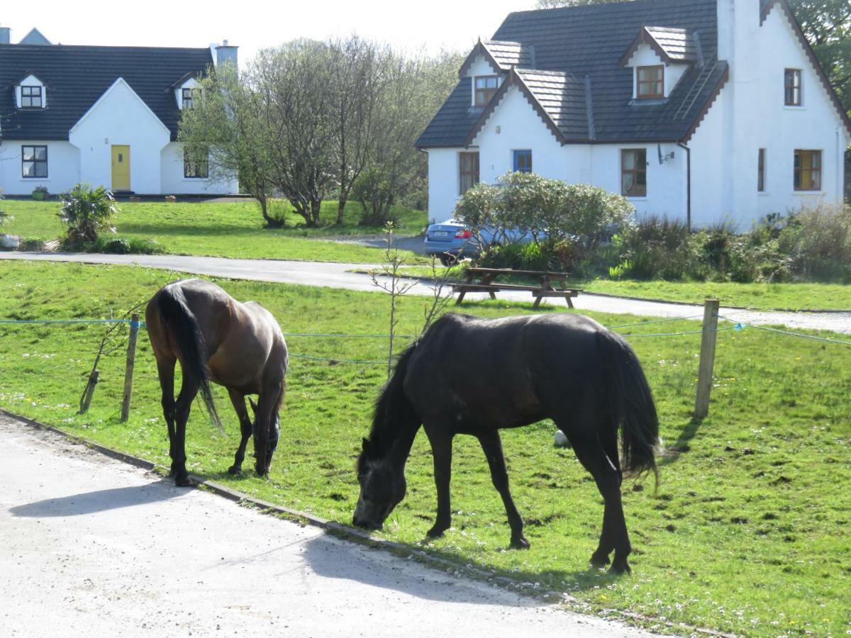 Letterfrack Farm Cottage In Village On A Farm Beside Connemara National Park 외부 사진