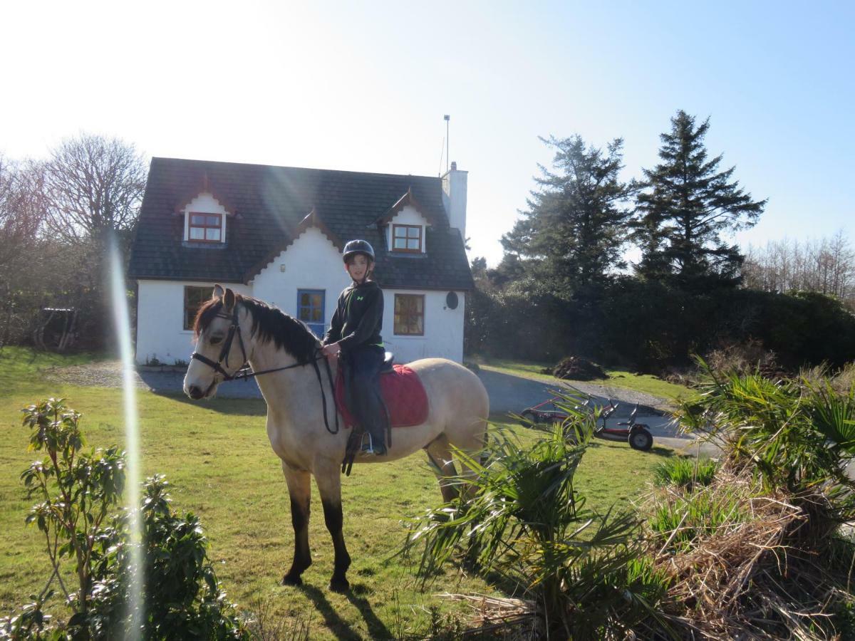 Letterfrack Farm Cottage In Village On A Farm Beside Connemara National Park 외부 사진