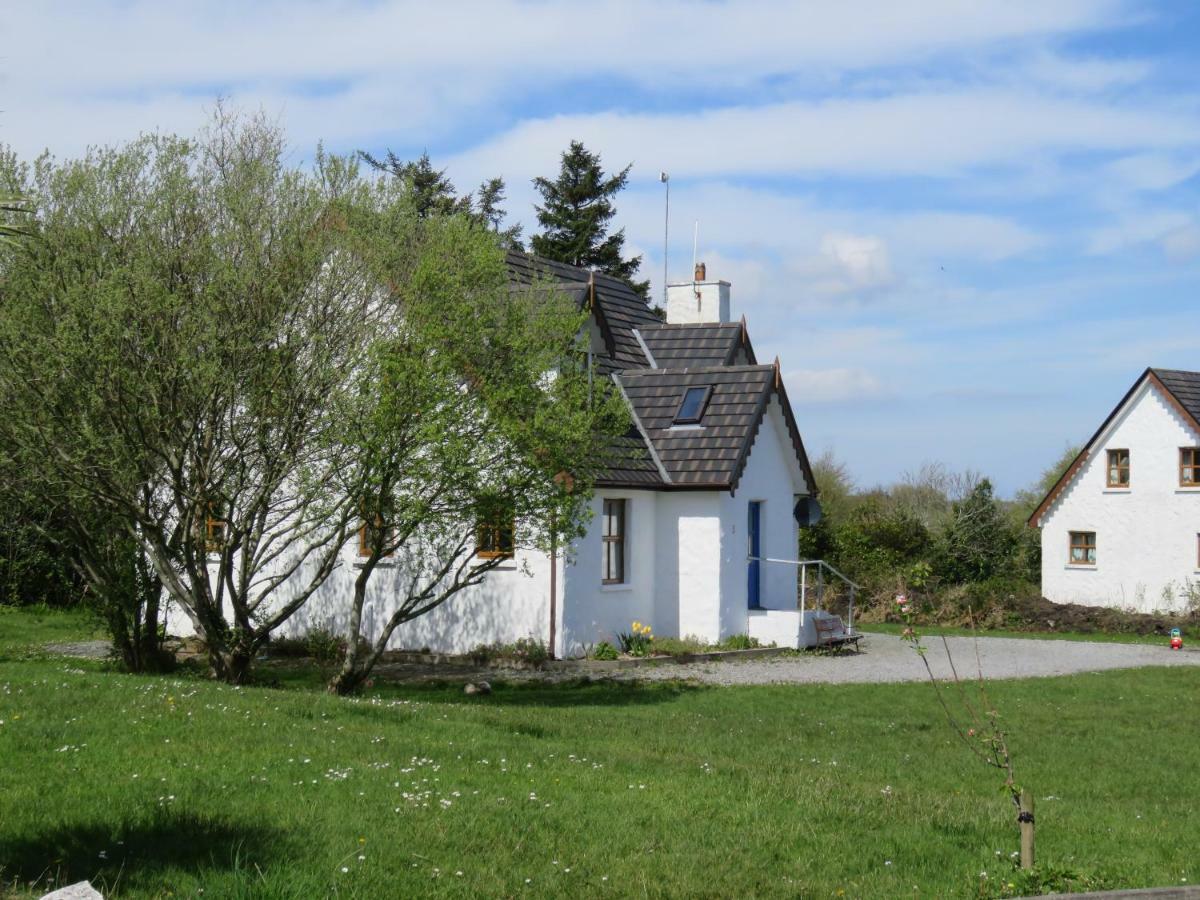 Letterfrack Farm Cottage In Village On A Farm Beside Connemara National Park 외부 사진