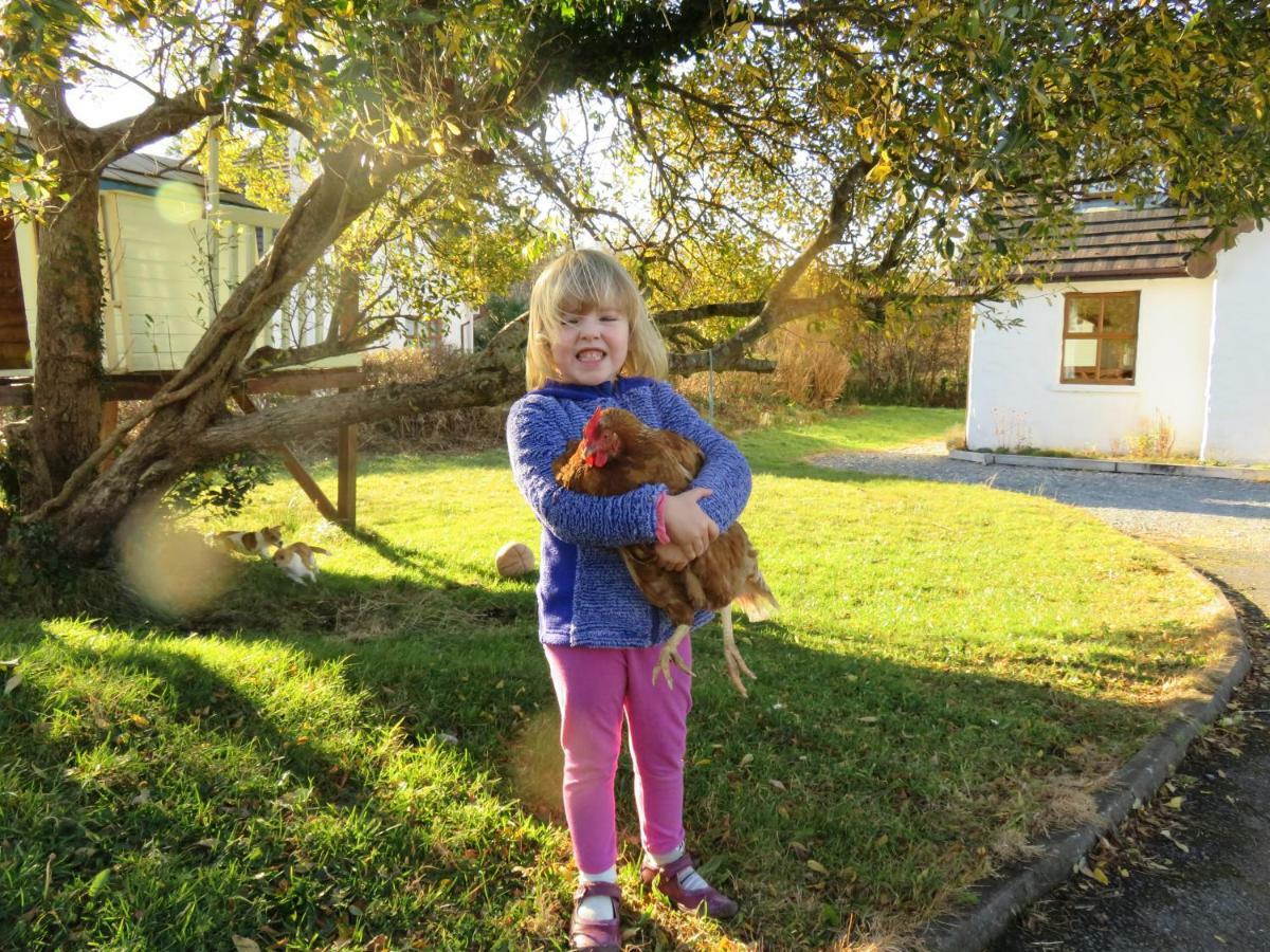 Letterfrack Farm Cottage In Village On A Farm Beside Connemara National Park 외부 사진